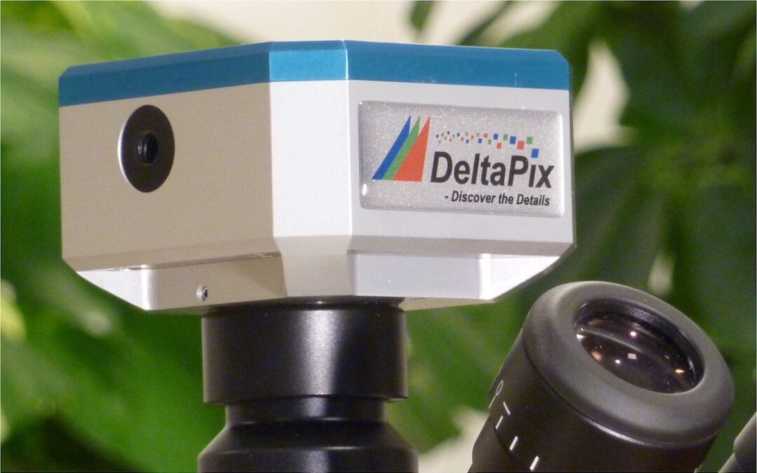 DeltaPix image competition